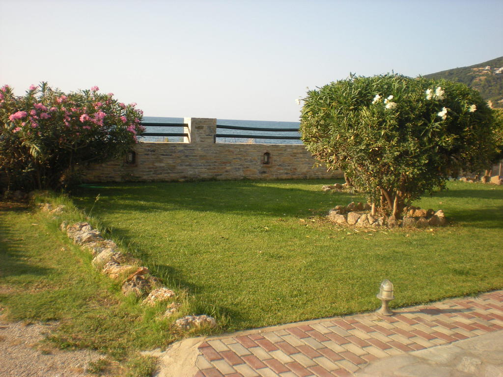 Antonios Skopelos Studios Apartments Εξωτερικό φωτογραφία